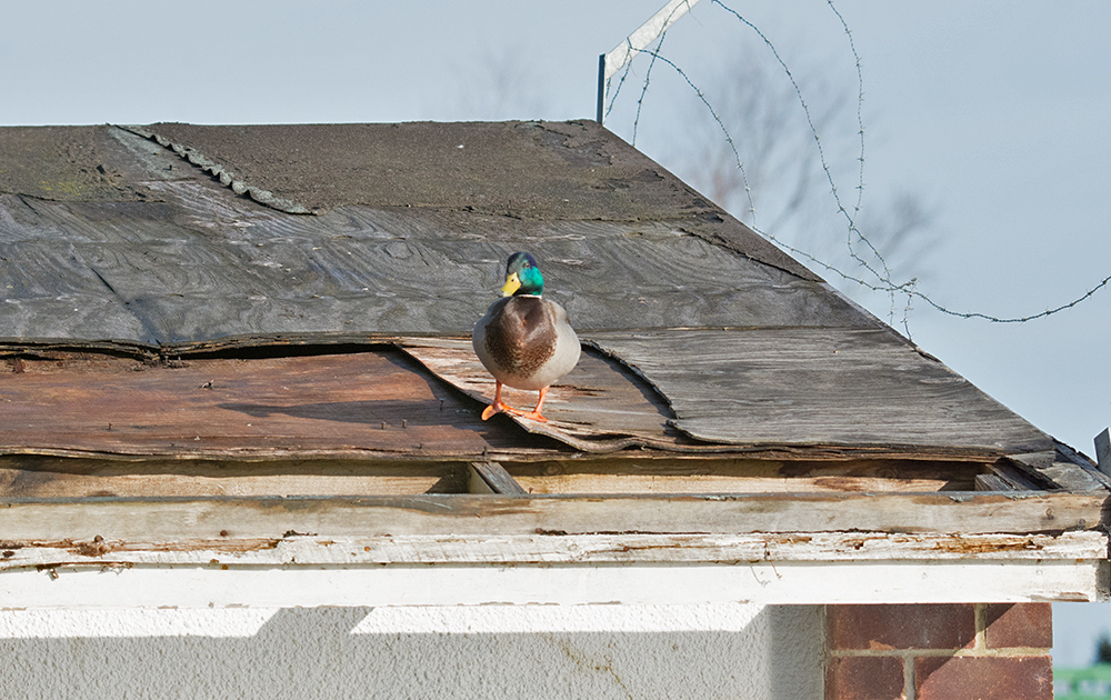 DSC_6861.jpg