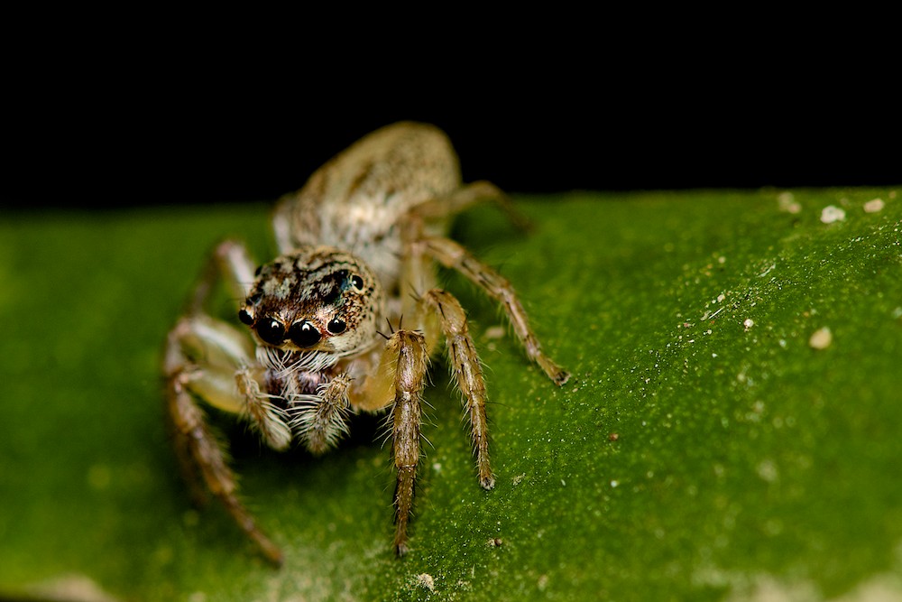 DSC_6866.jpg