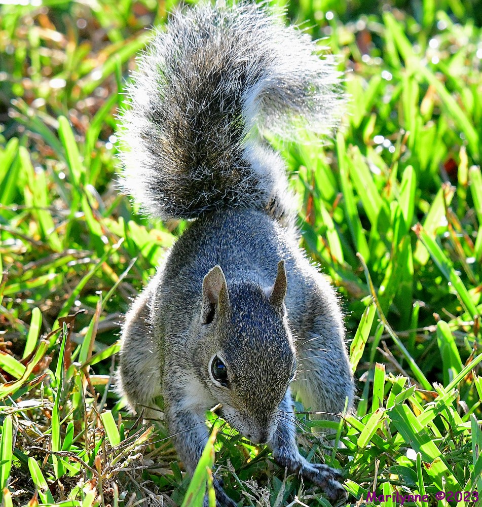 DSC_6867_001.JPG