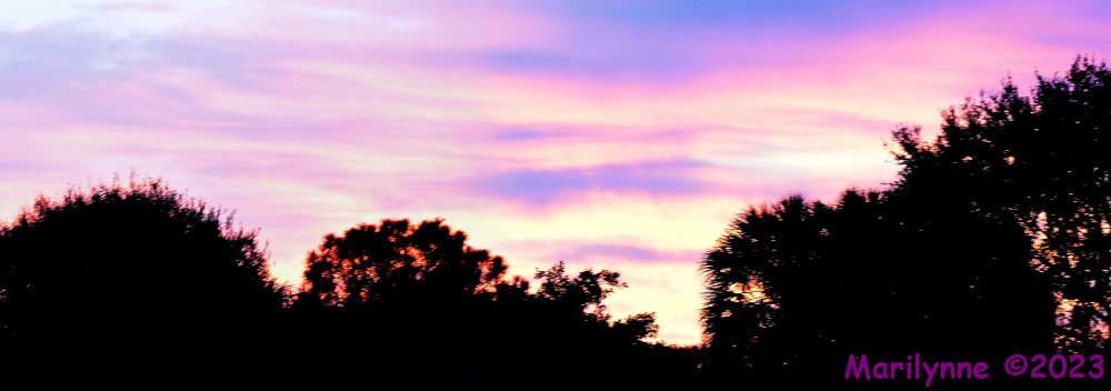 DSC_6869_stitch3_001.JPG