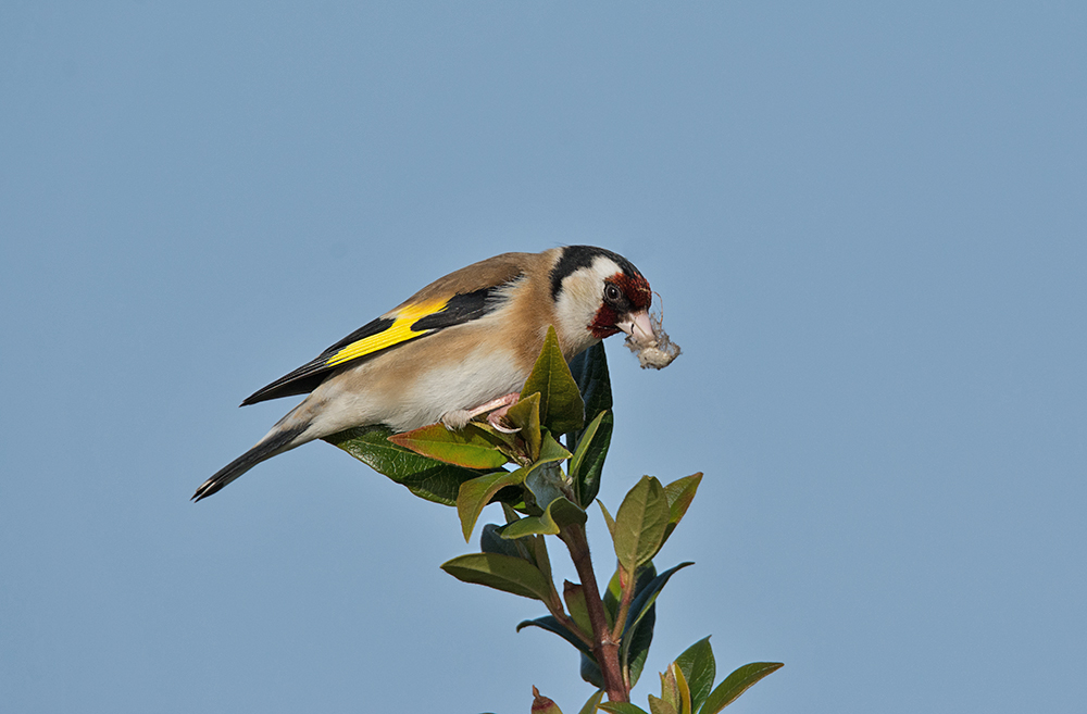 DSC_6870.jpg