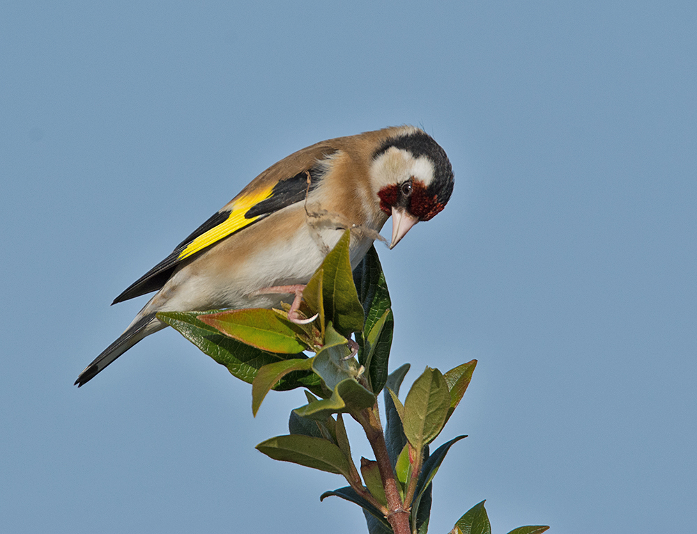 DSC_6873.jpg