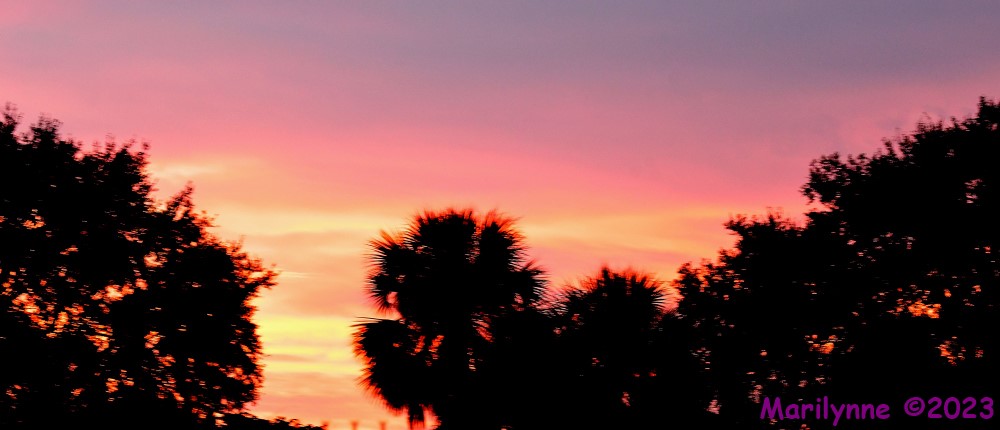 DSC_6879_stitch3_001.JPG