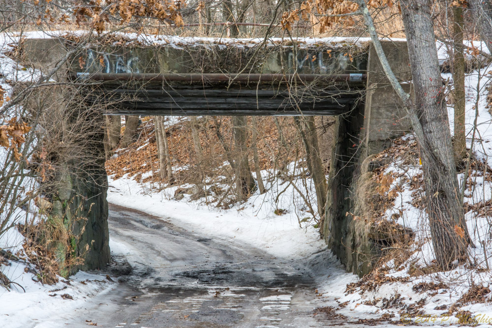 DSC_6882.jpg