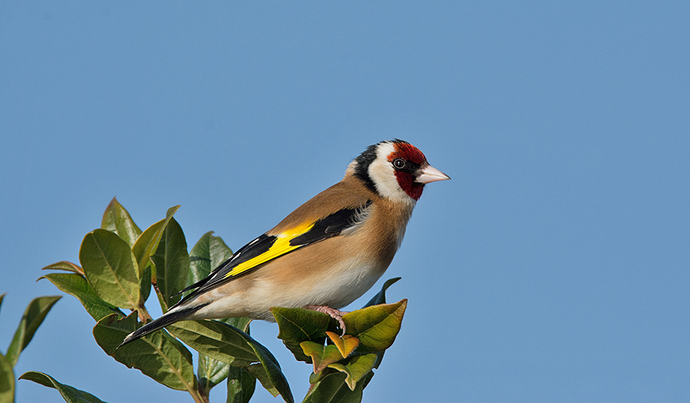 DSC_6883.jpg
