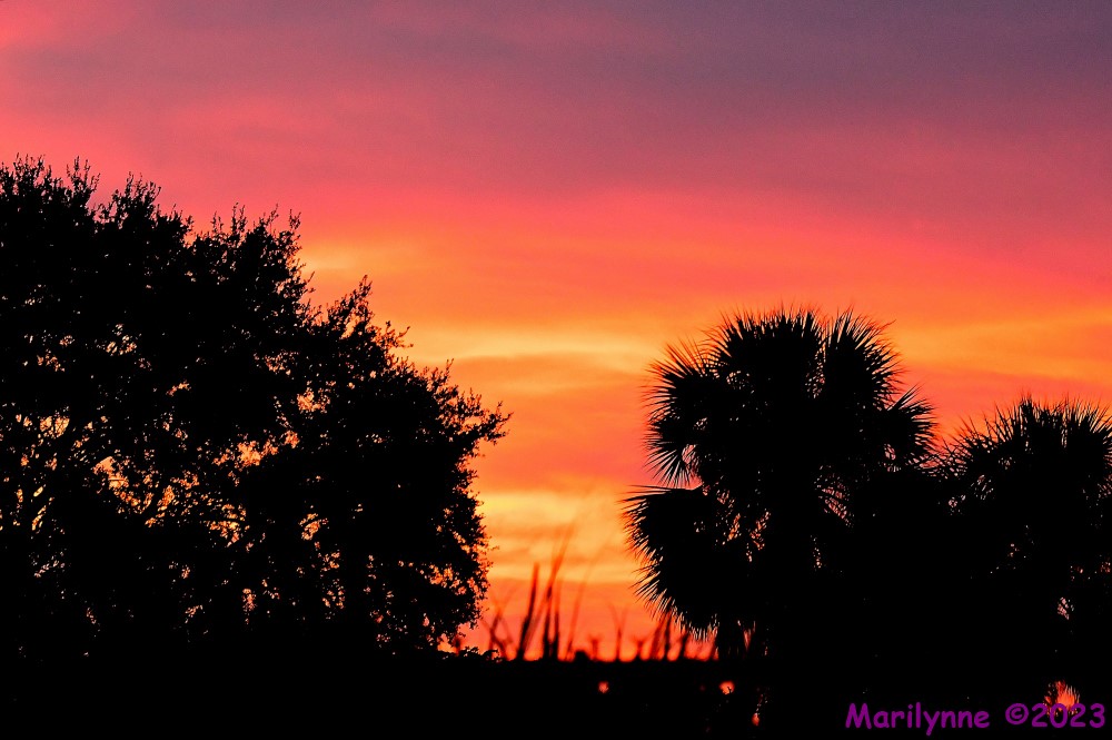 DSC_6888_stitch_001.JPG