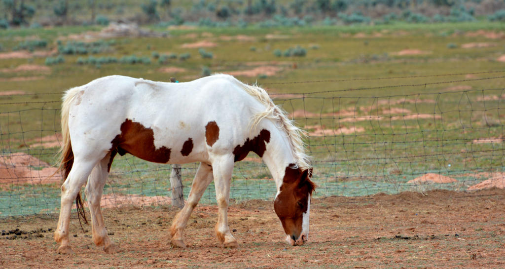 DSC_6890.jpg