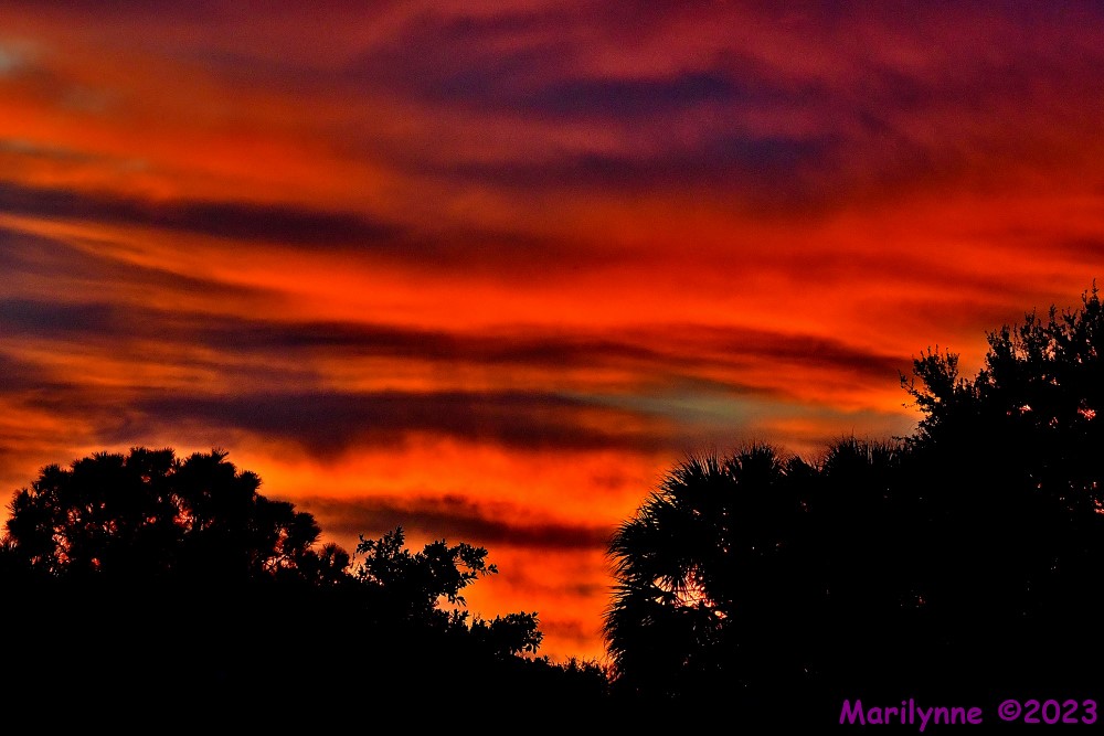DSC_6890_001.JPG