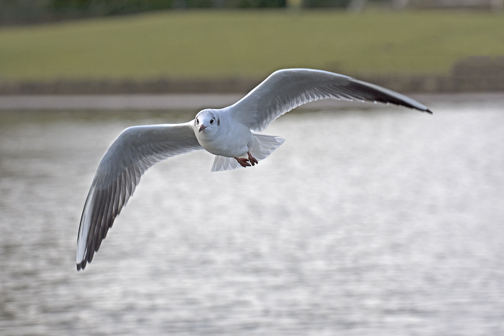 DSC_6891.jpg