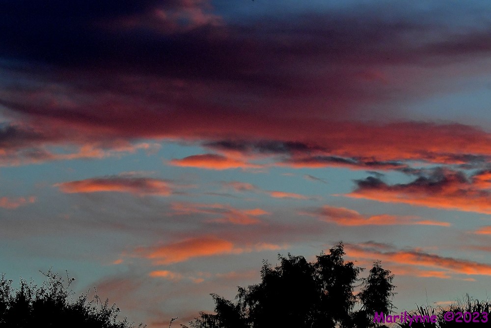DSC_6892_001.JPG
