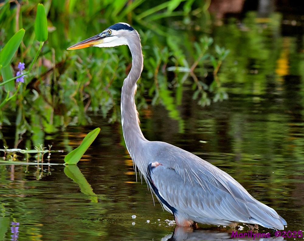 DSC_6900_001.JPG