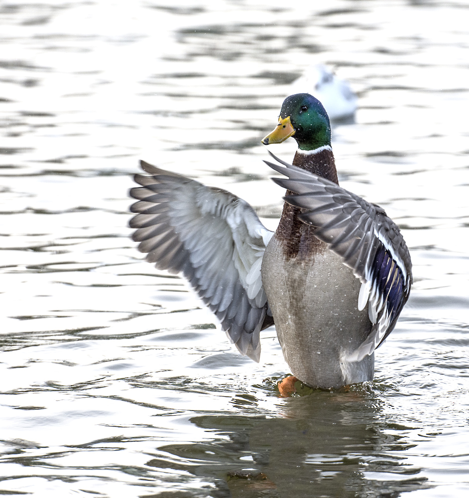 DSC_6904.jpg
