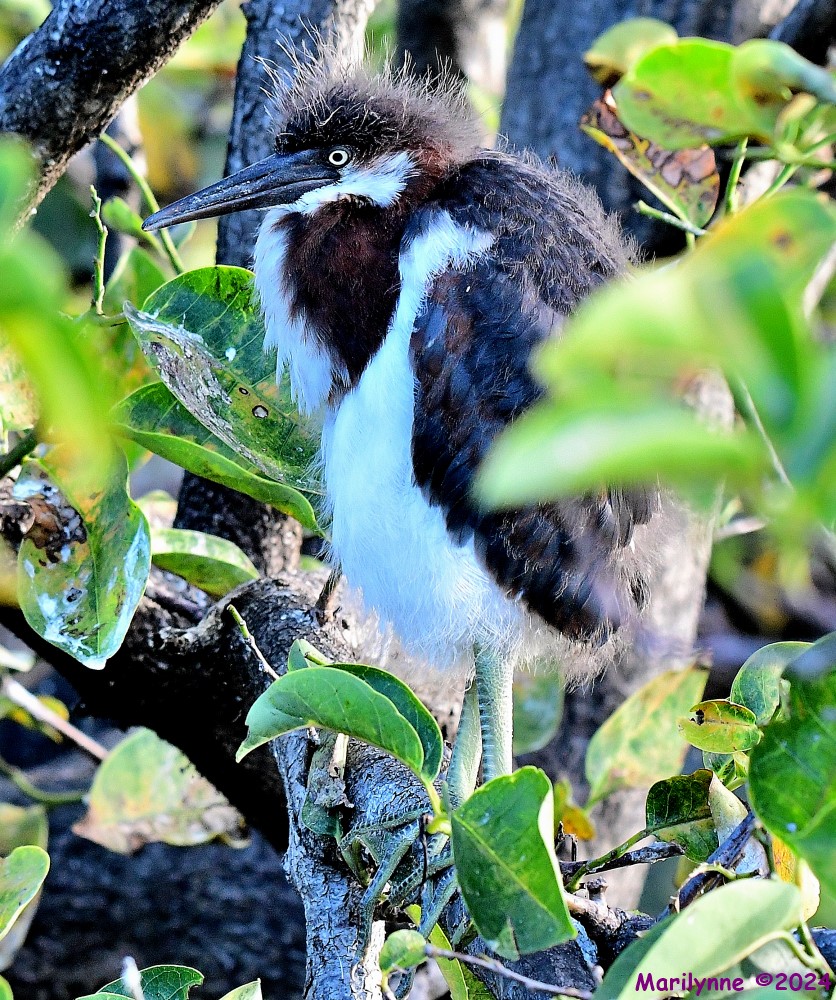 DSC_6905_001.JPG
