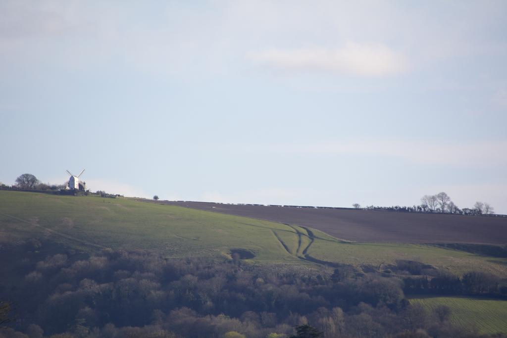 DSC_6906.jpg