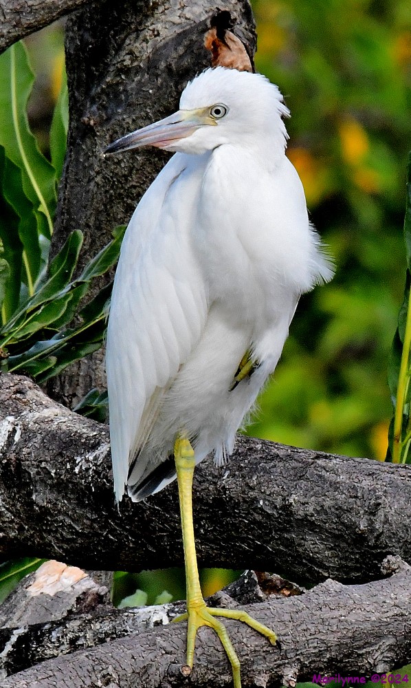 DSC_6907_001.JPG