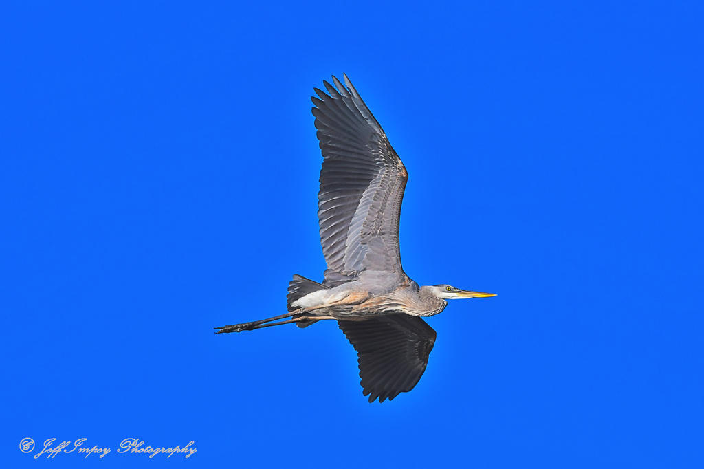 DSC_6909.jpg