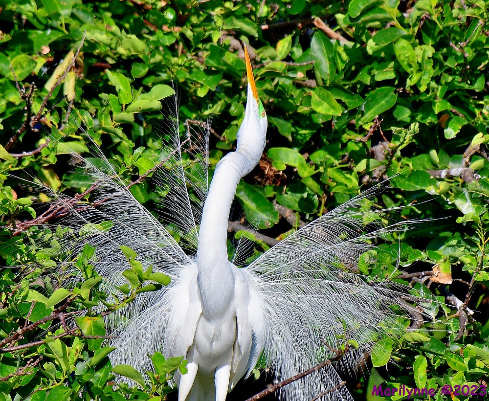 DSC_6909_001.JPG