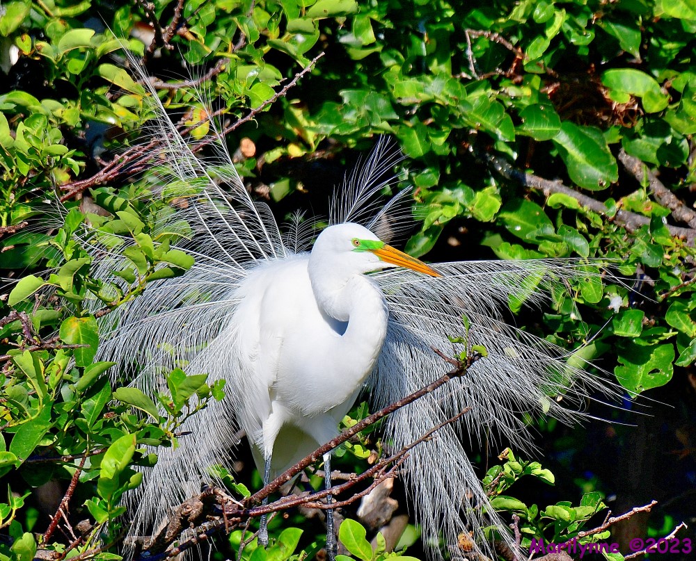 DSC_6912_001.JPG