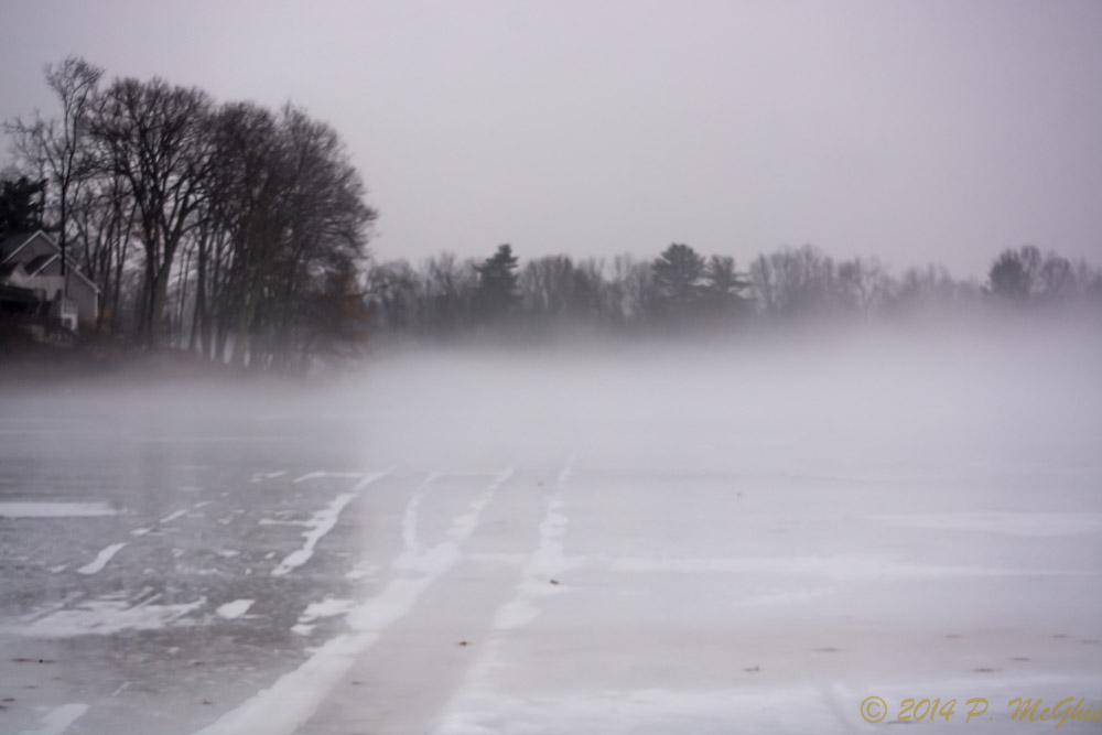 DSC_6914.jpg