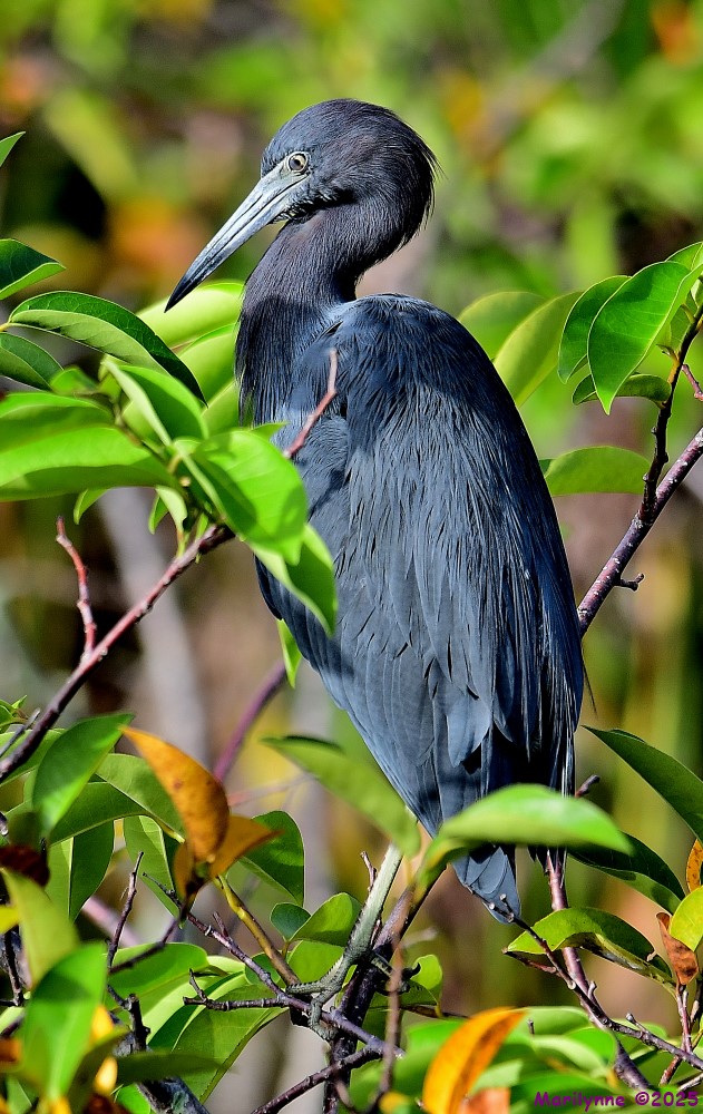 DSC_6914_001.JPG