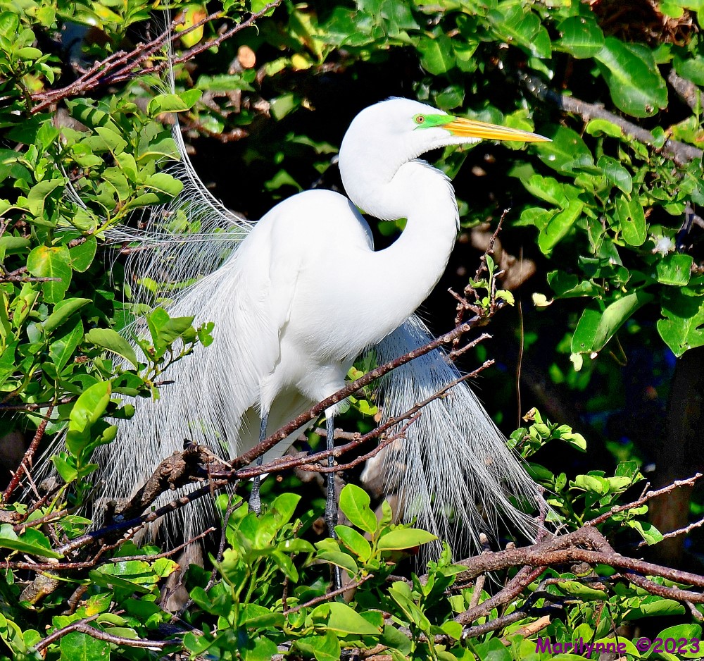 DSC_6915_001.JPG