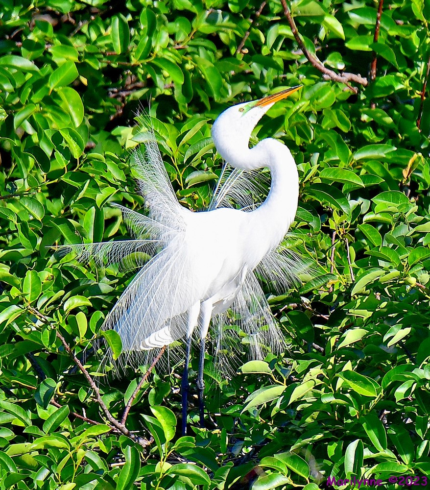 DSC_6916_001.JPG
