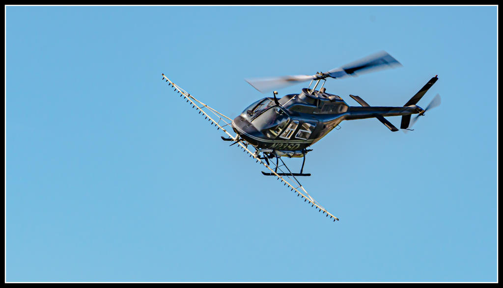 DSC_6920.jpg