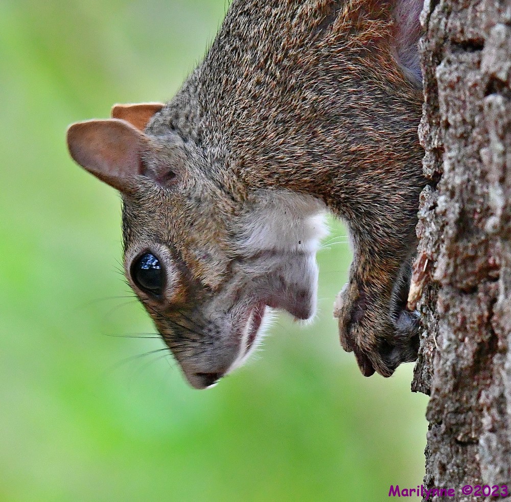 DSC_6920_001.JPG