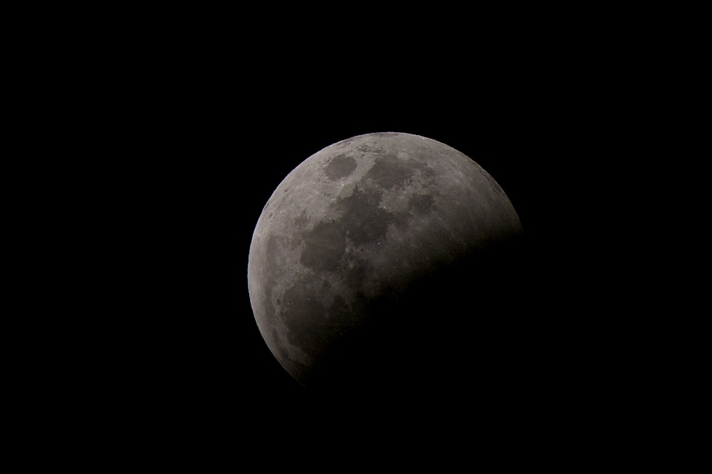 DSC_6921.jpg