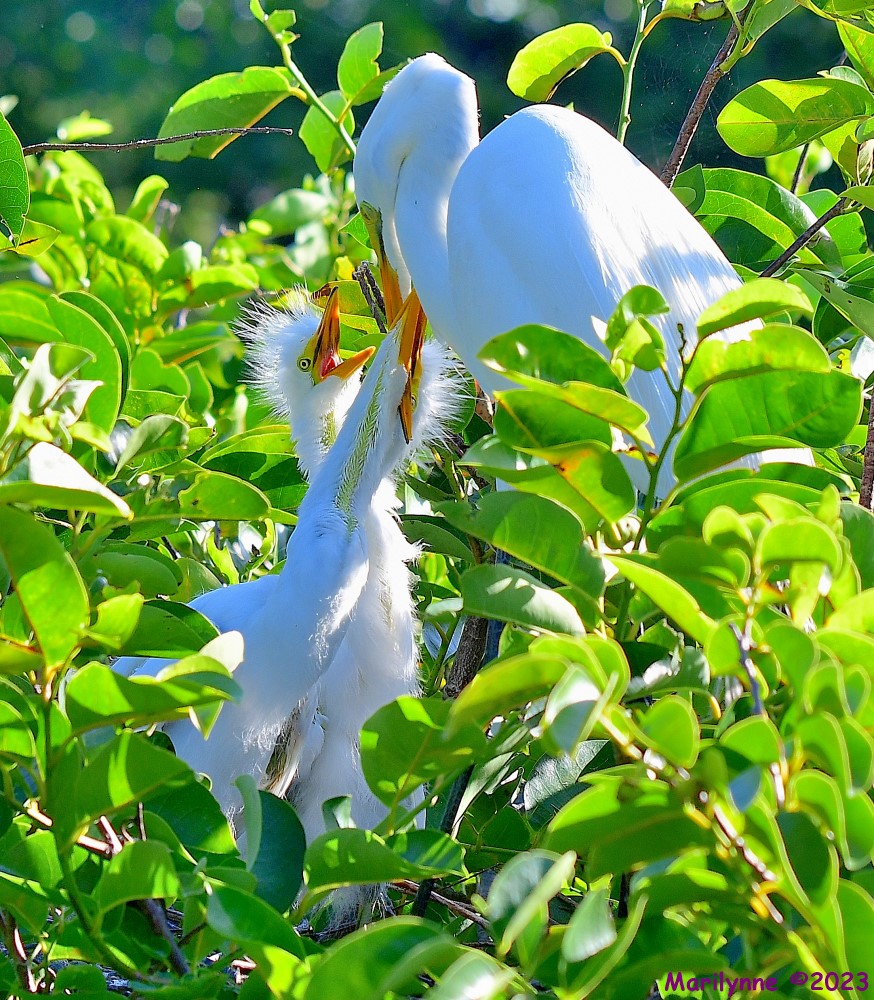 DSC_6922_001.JPG