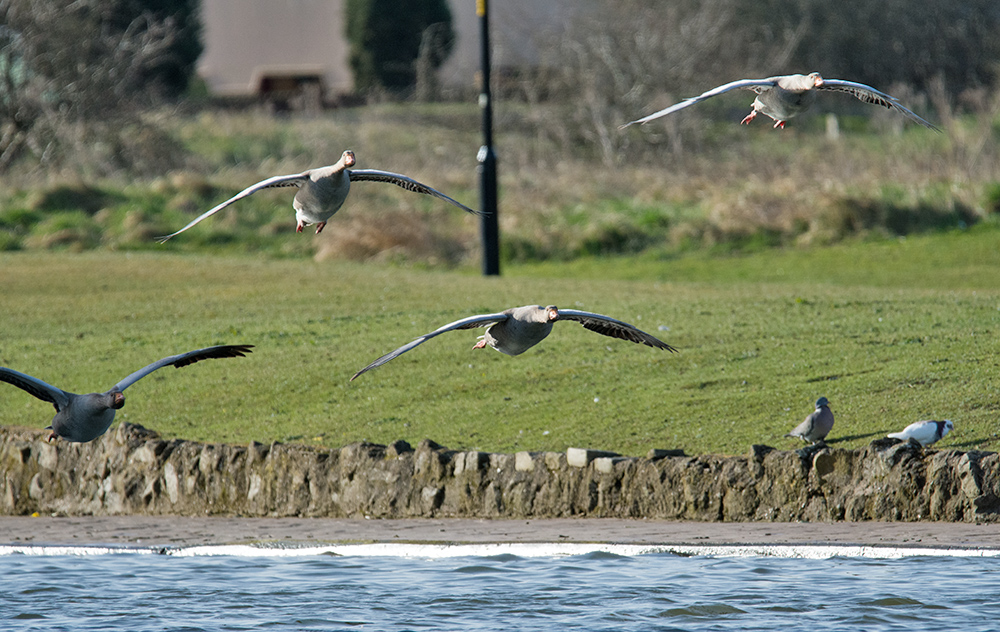 DSC_6923.jpg