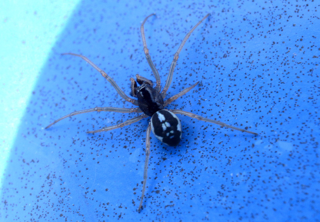 DSC_6924.jpg
