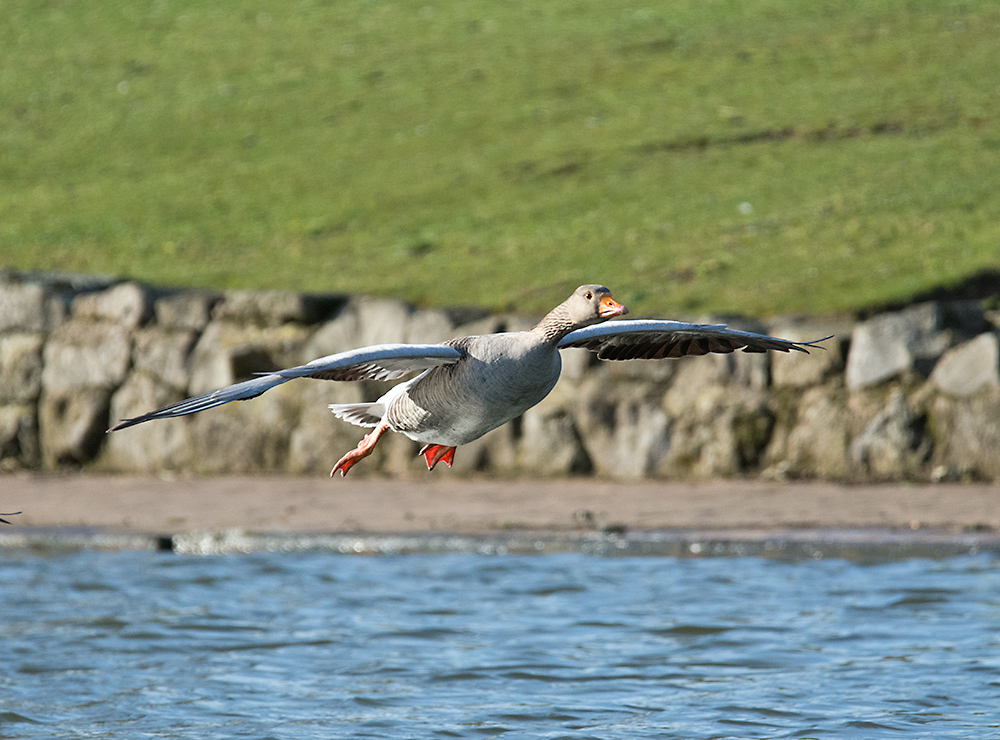 DSC_6925.jpg