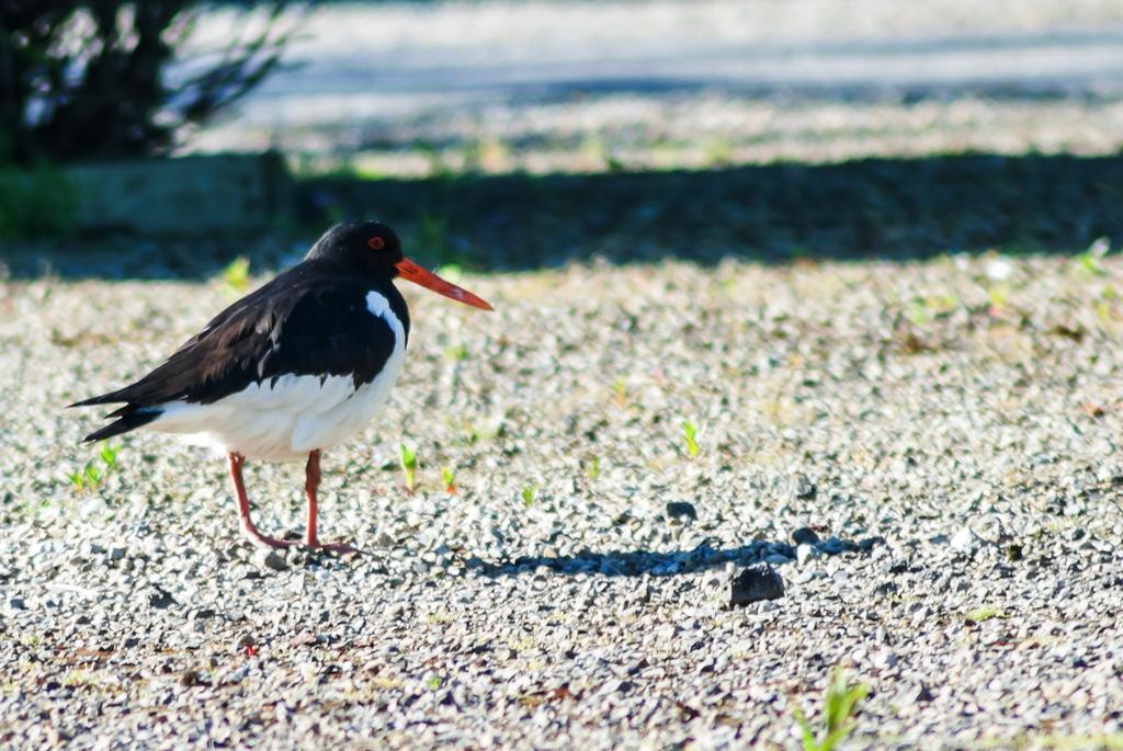 DSC_6928_edited-4.jpg