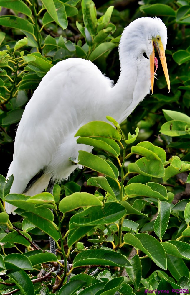 DSC_6934_001.JPG