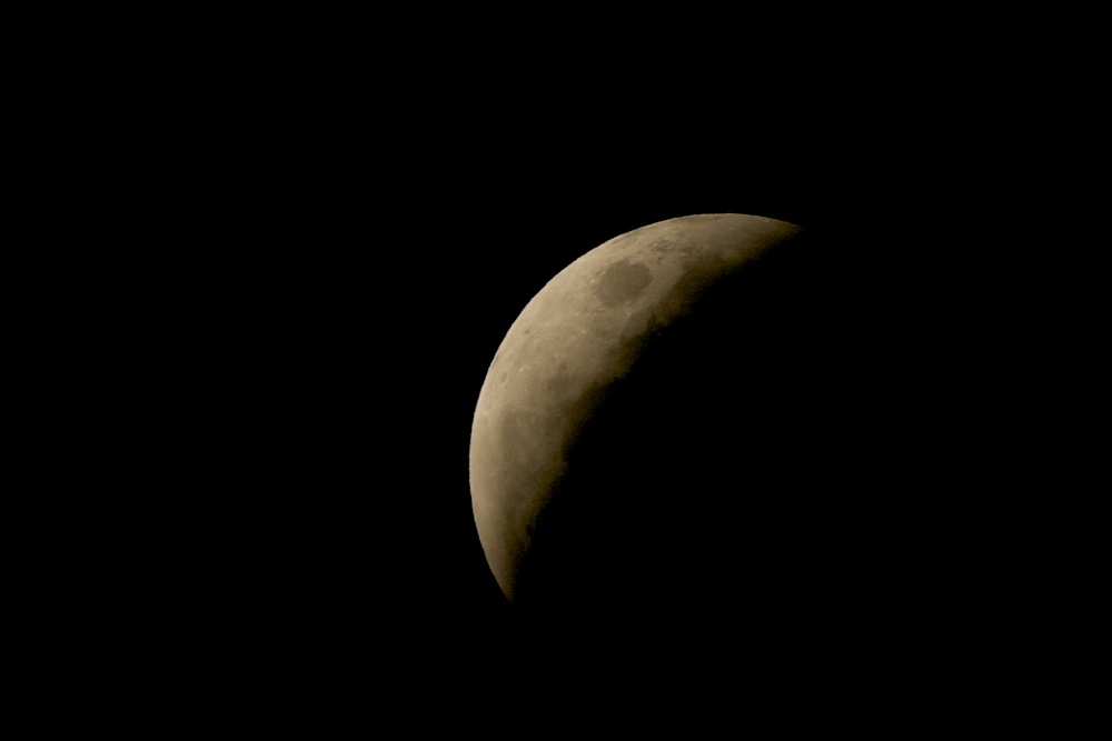 DSC_6936.jpg