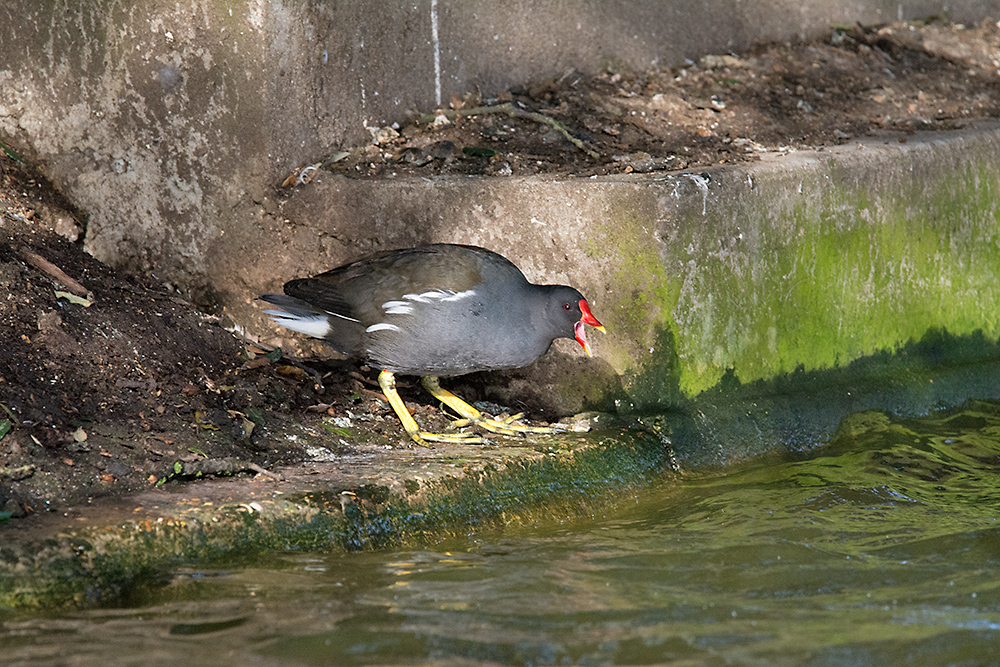 DSC_6939.jpg