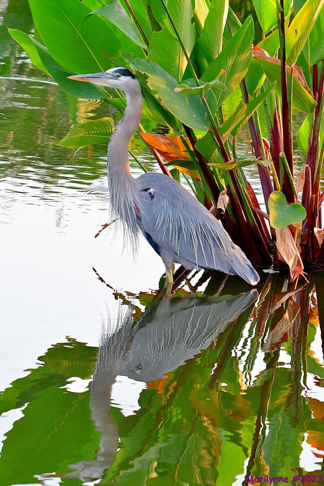 DSC_6940_001.JPG