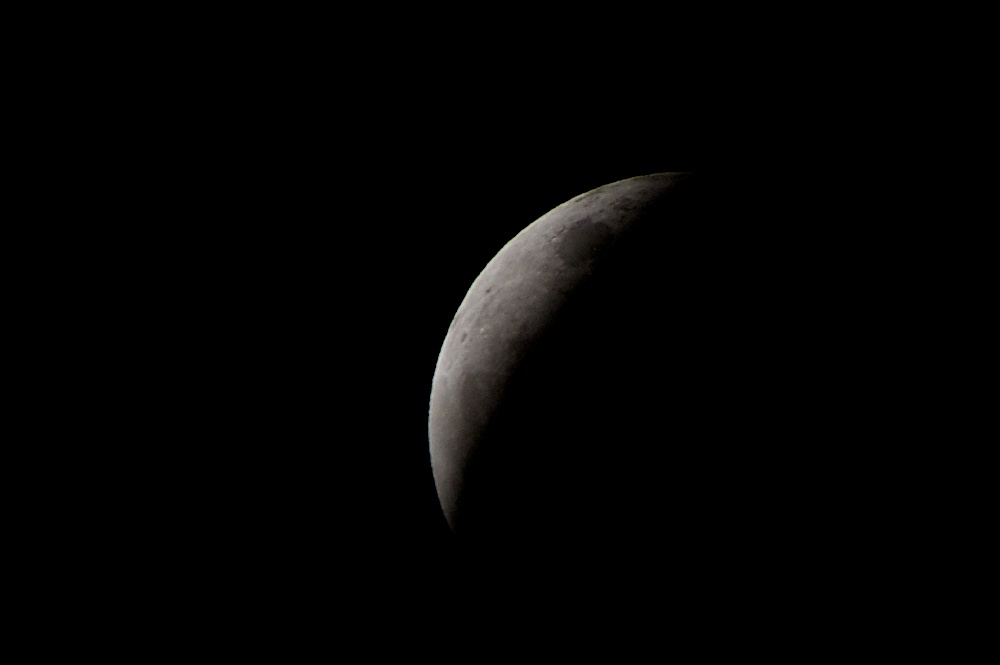 DSC_6941.jpg