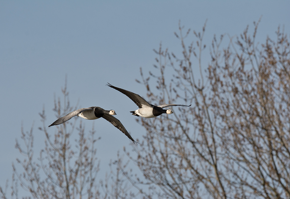 DSC_6943.jpg