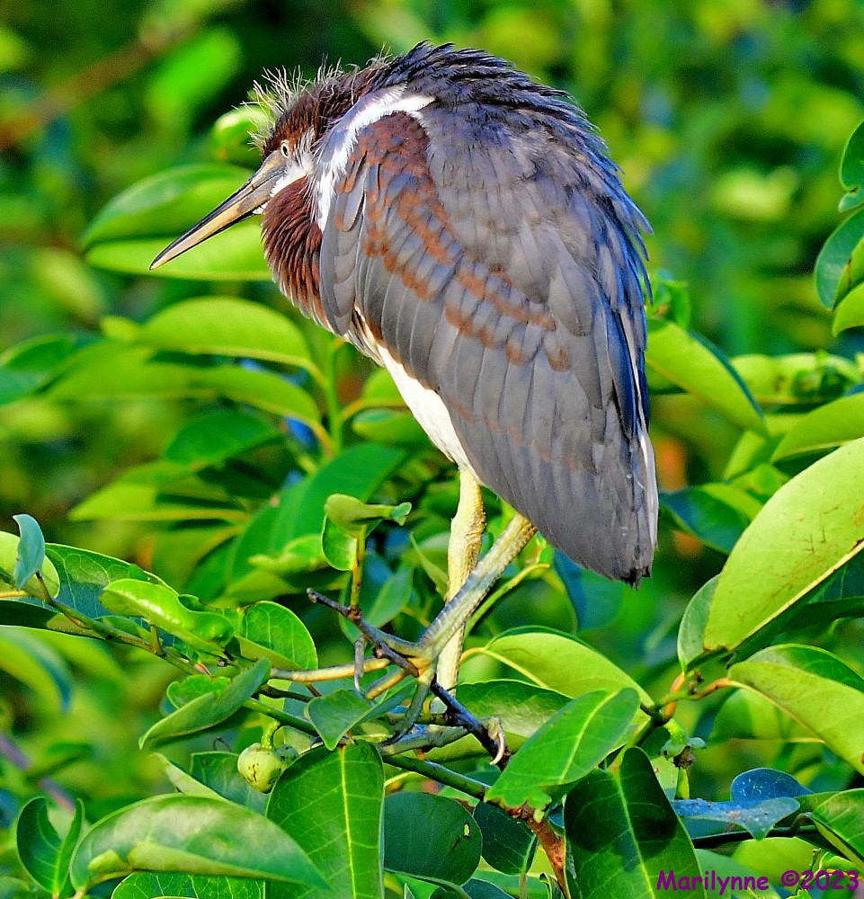 DSC_6943_001.JPG