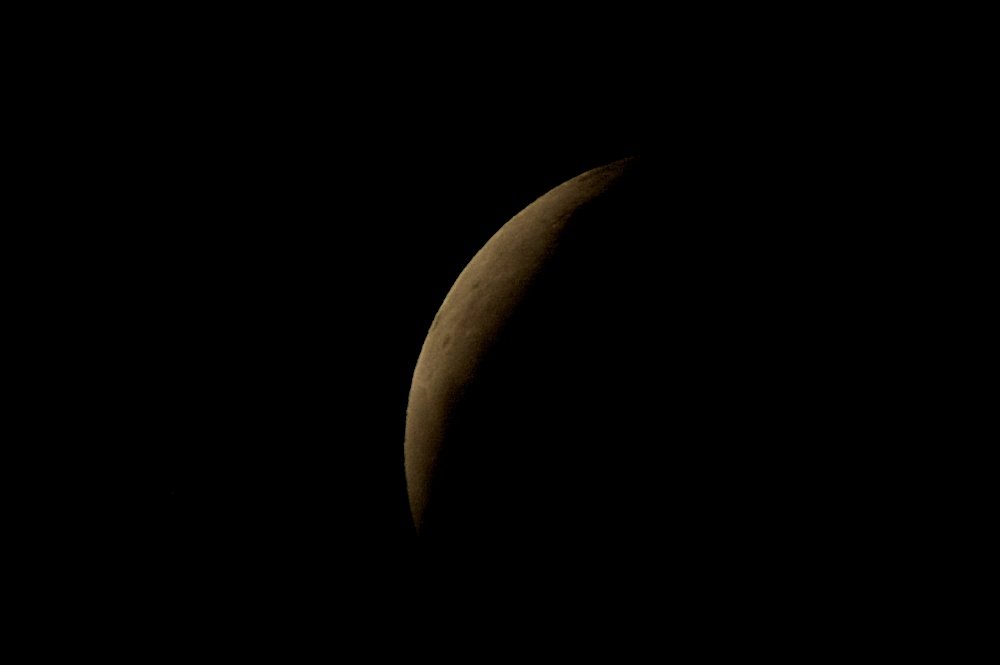 DSC_6946.jpg
