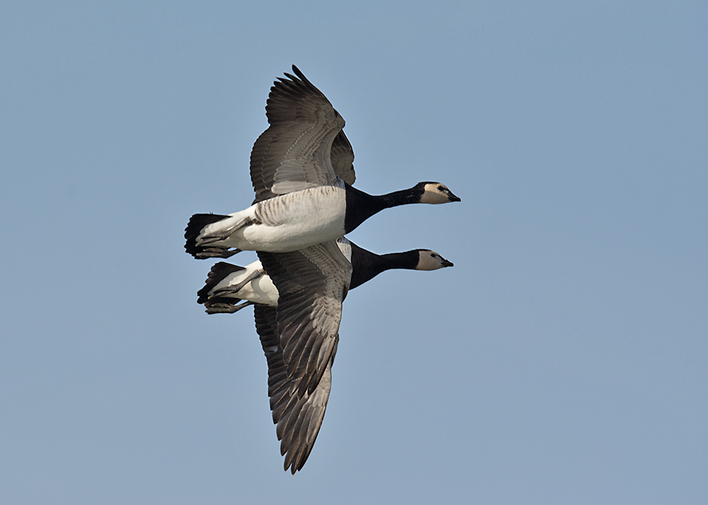 DSC_6946.jpg