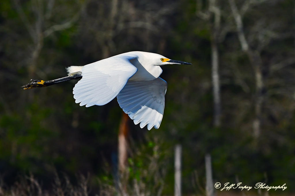 DSC_6946.jpg