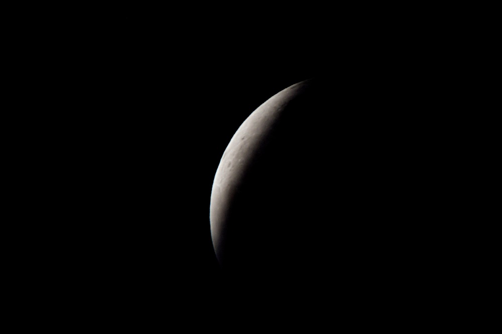 DSC_6950.jpg