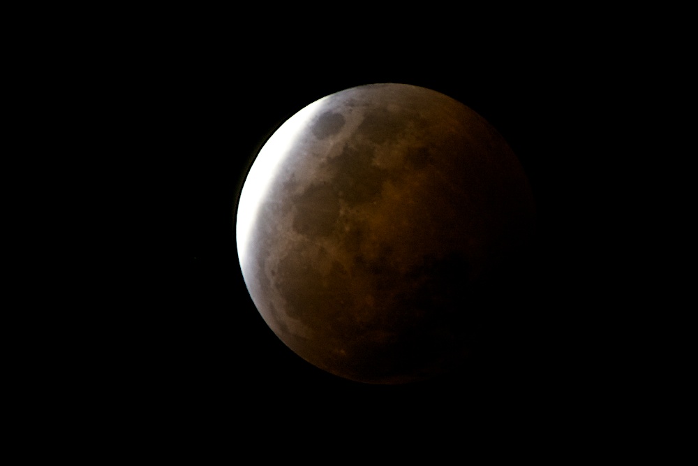 DSC_6952.jpg