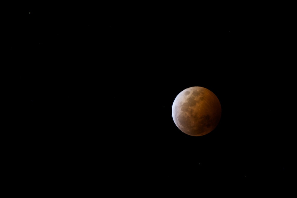 DSC_6961.jpg