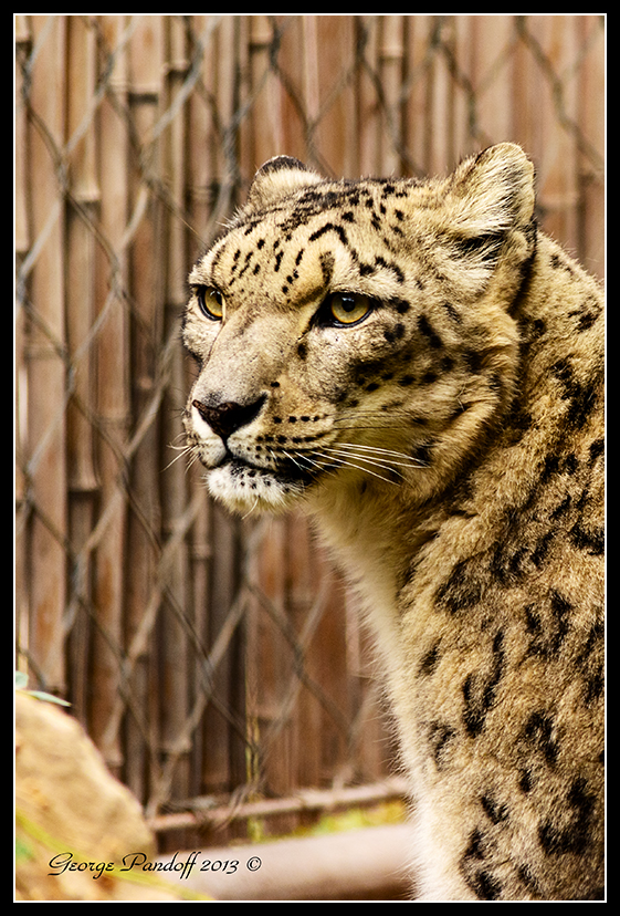 DSC_6962.jpg