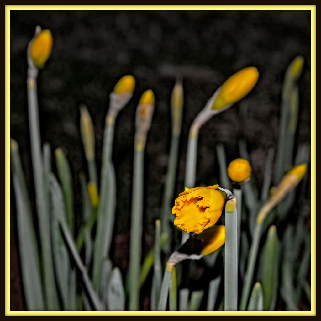 DSC_6973-Edit.jpg