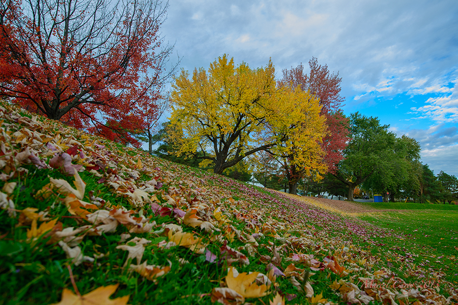 DSC_6973.jpg